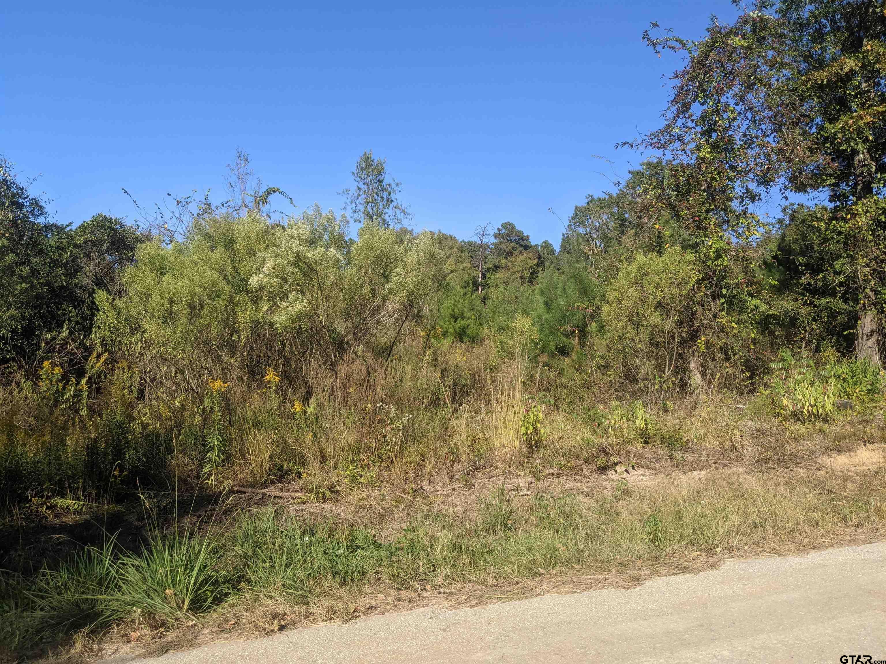 a view of a yard with a tree