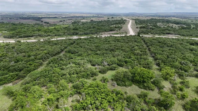 a view of a field with a tree
