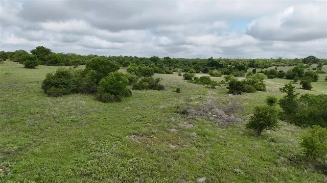 a view of a lush green forest with lots of trees