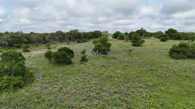 a view of a big yard with lots of green space