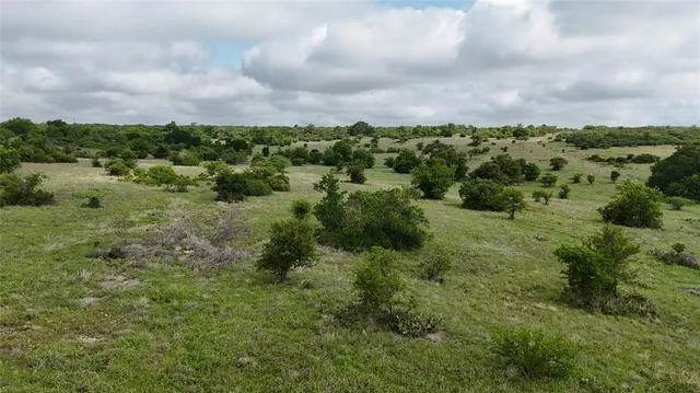 a view of a green field with lots of bushes