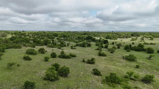 a view of a bunch of trees and bushes