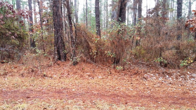 5538 Mary Road Thomson, GA 30824 - Photo 1 of 4 Main View
