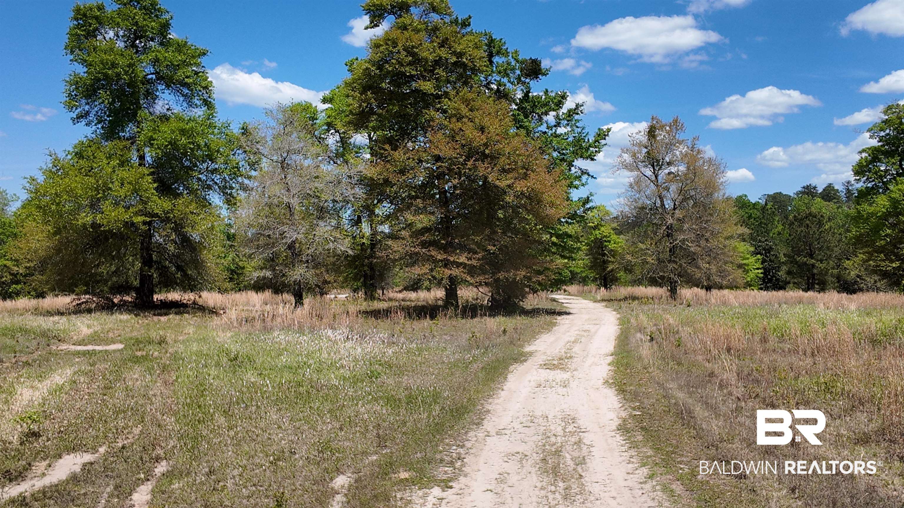 0 Powell Road Eight Mile, AL 36613 - Photo 28 of 57