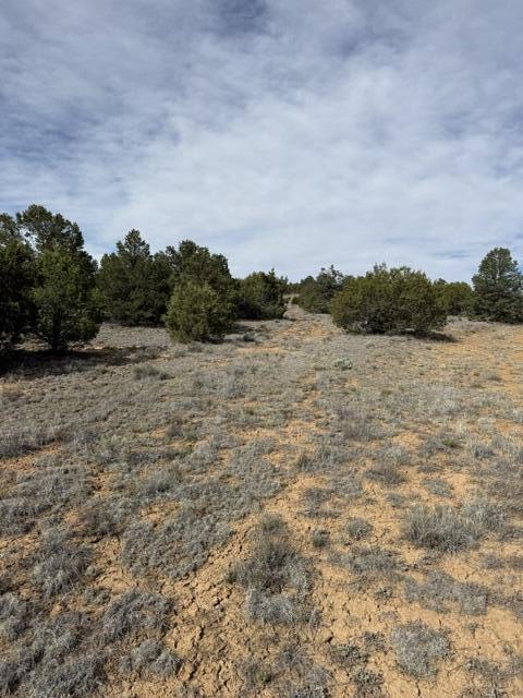 113 Rockhouse Road Ramah, NM 87357 - Photo 20 of 20 Gallery Image 20