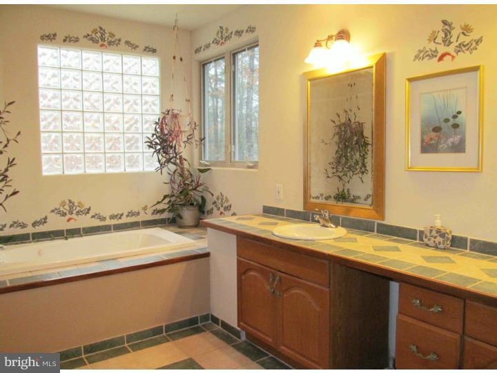27 Burrs Mill Road Southampton, NJ 08088 - Photo 17 of 25 Master Bathroom