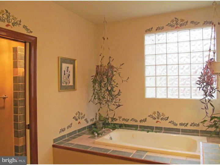 27 Burrs Mill Road Southampton, NJ 08088 - Photo 18 of 25 Master Bathroom