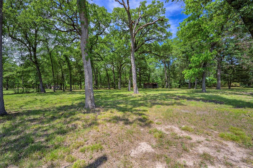 1113 West Will White Road Kemp, TX 75143 - Photo 21 of 22 a backyard of a house with lots of green space