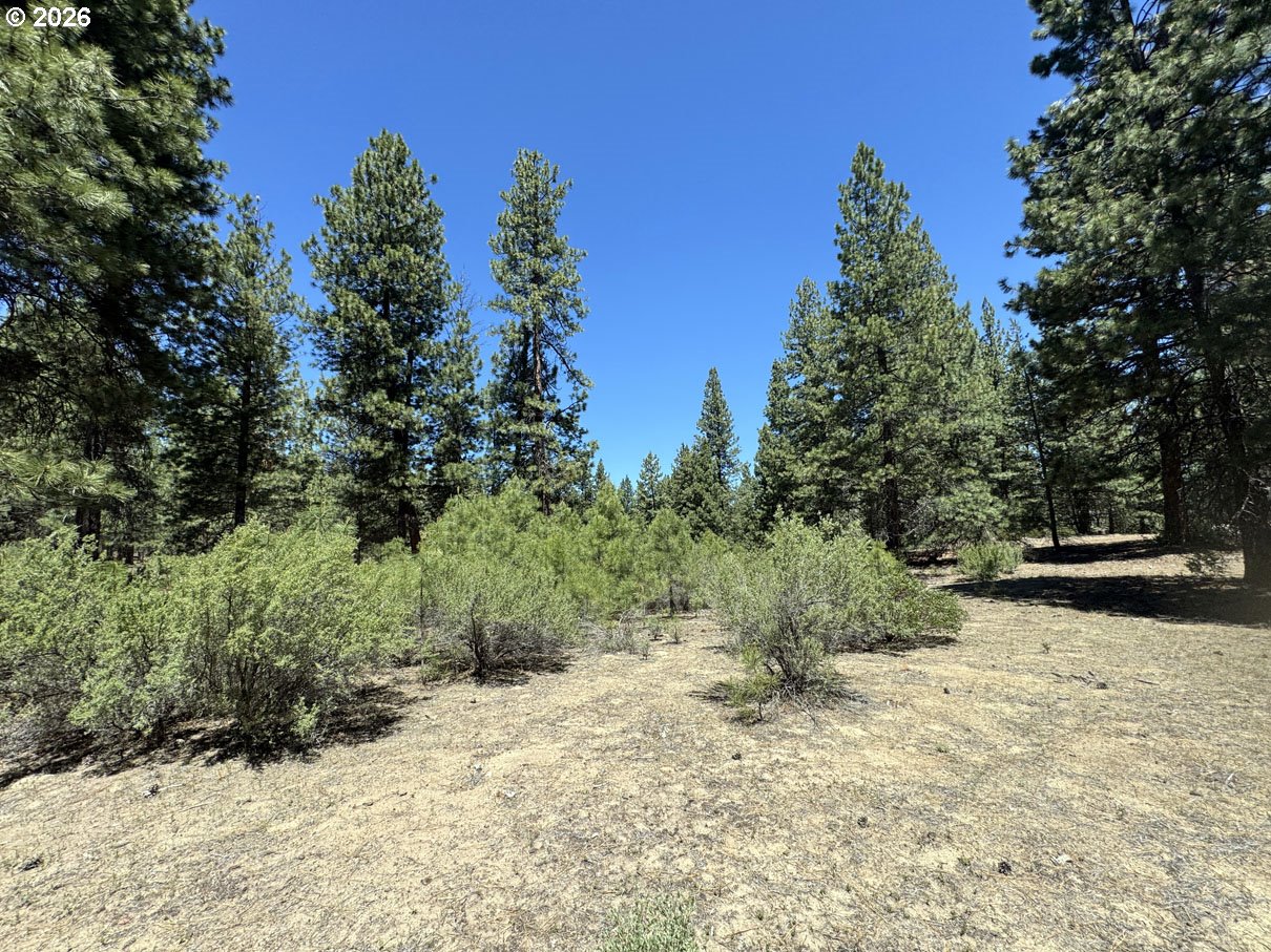 Friendship Drive, Unit 15 Chiloquin, OR 97624 - Photo 35 of 41