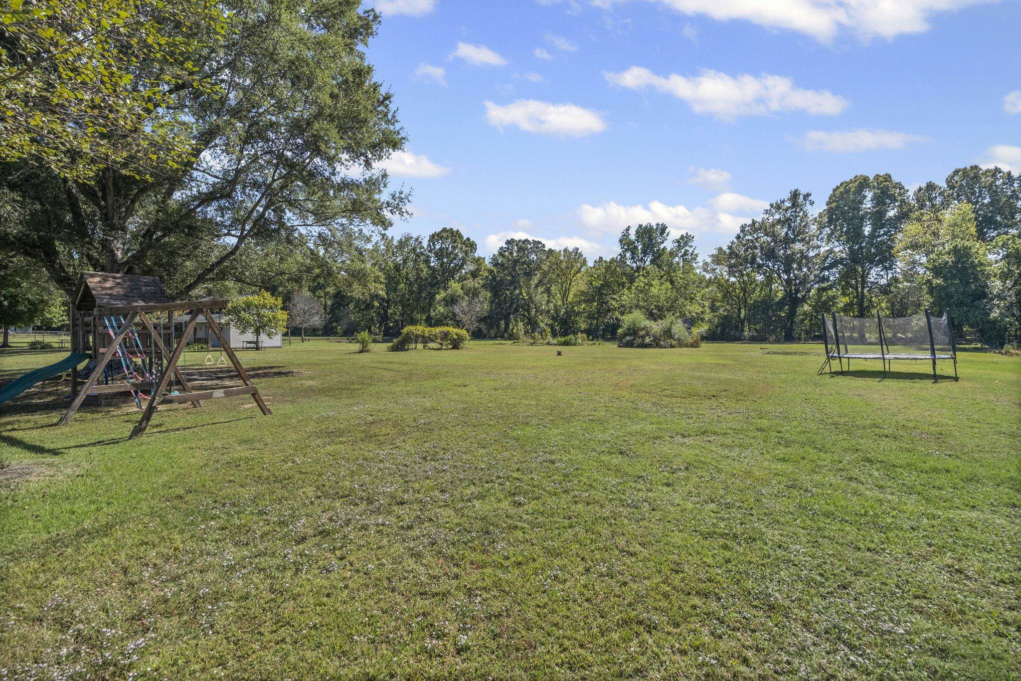 10661 Chapel Hill Road Lakeland, TN 38002 - Photo 35 of 40 a view of a tree in a field