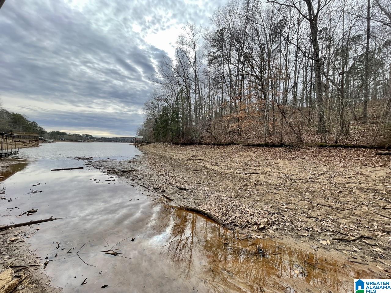 Warren Road, Unit 1 78 Wedowee, AL 36278 - Photo 6 of 6