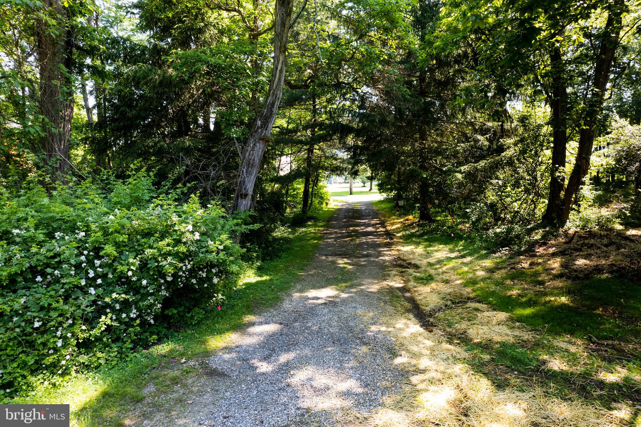 548 Old Forge Road, Unit 1 Media, PA 19063 - Photo 35 of 37 a view of yard with trees