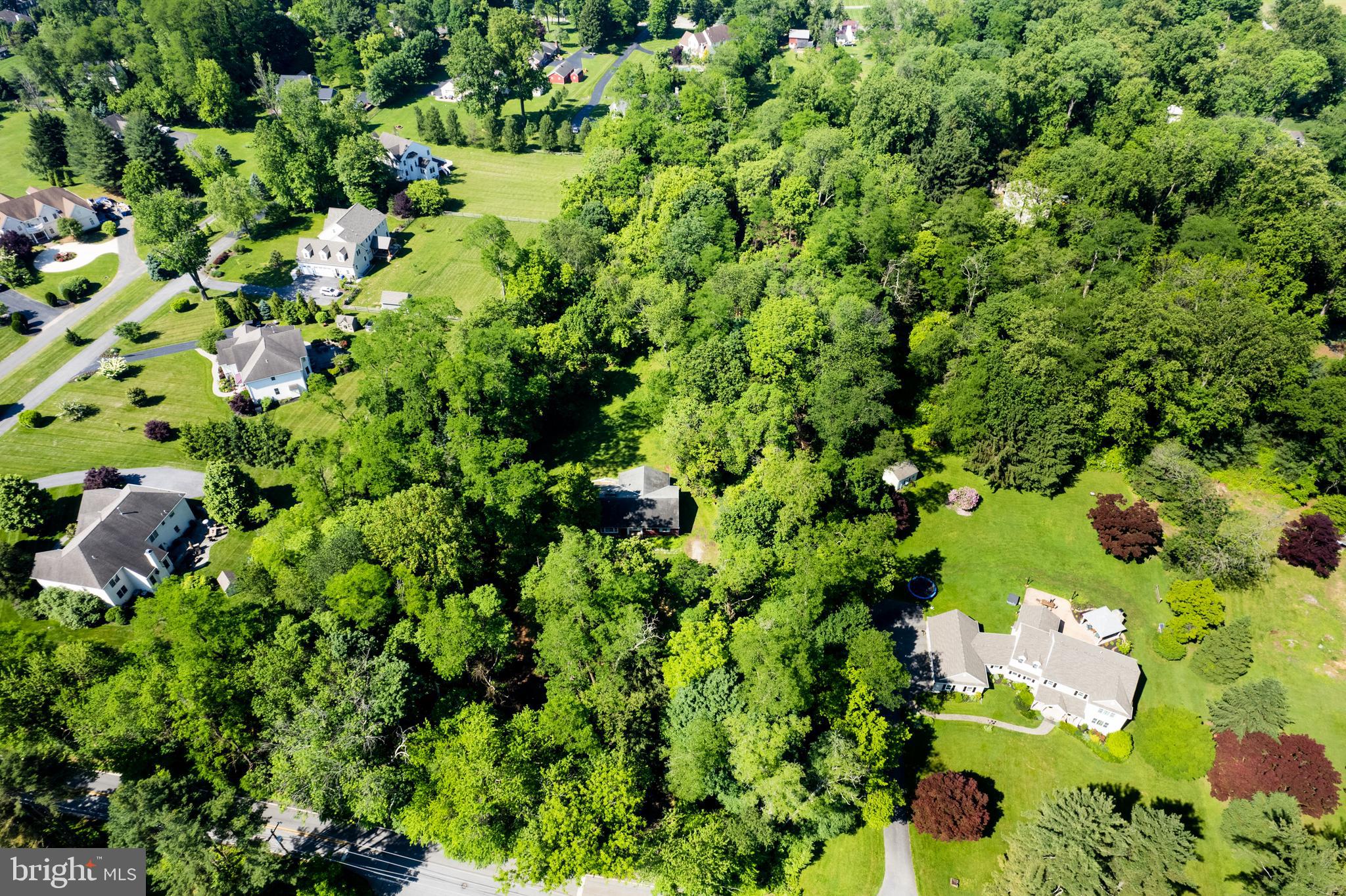 548 Old Forge Road, Unit 1 Media, PA 19063 - Photo 37 of 37 a view of a bunch of flowers
