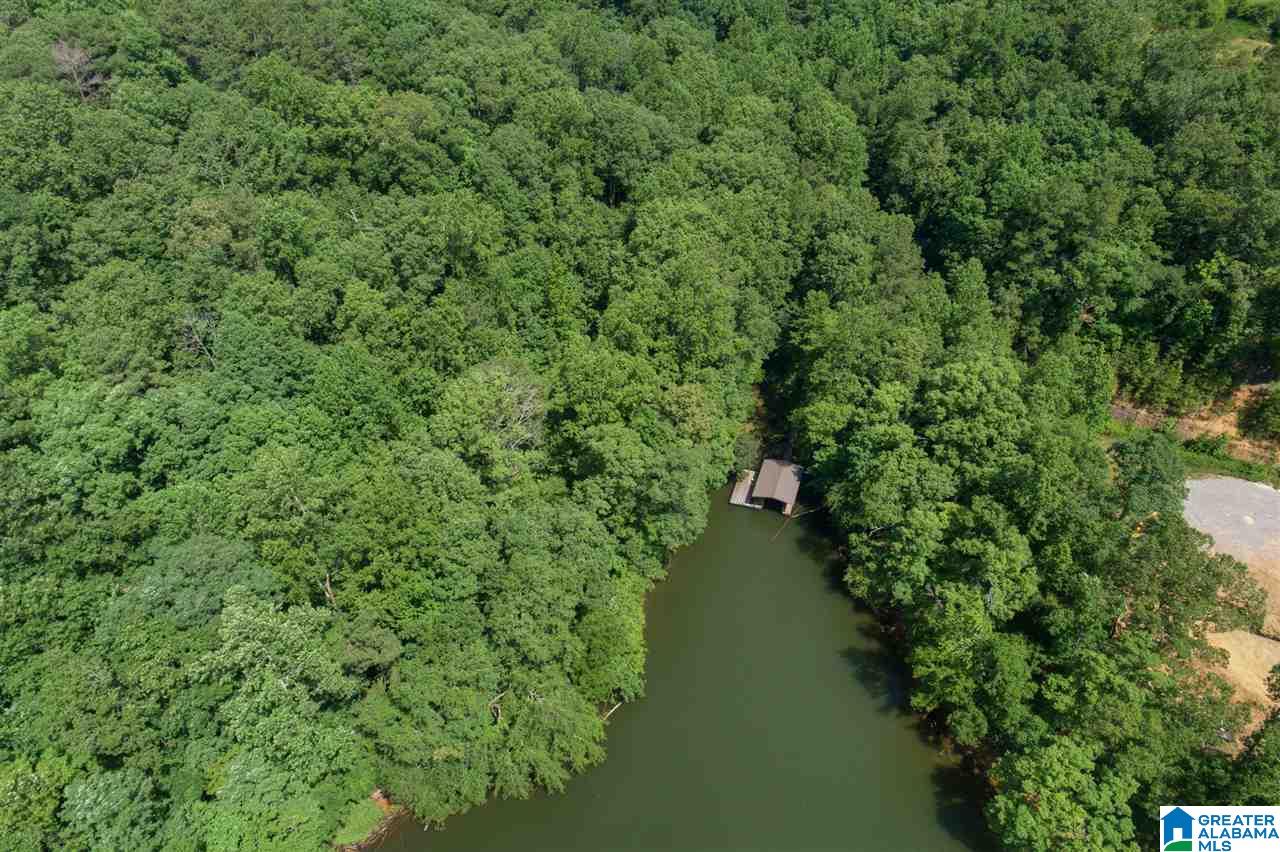 0 Ridge Drive, Unit 58 PART 54 & BOAT RAMP Arley, AL 35541 - Photo 8 of 27