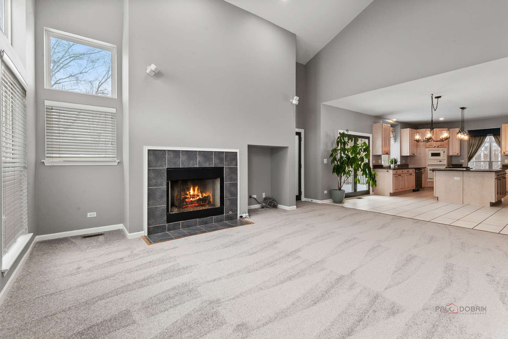 597 Treetop Lane Gurnee, IL 60031 - Photo 5 of 34 a view of an empty room with a fireplace and window