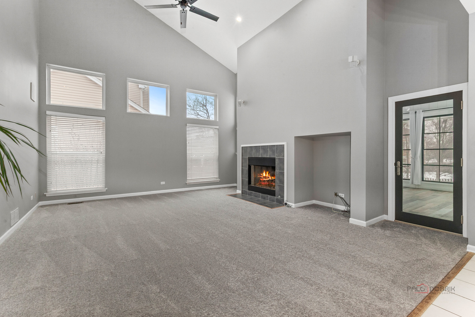 597 Treetop Lane Gurnee, IL 60031 - Photo 6 of 34 an empty room with windows and fireplace