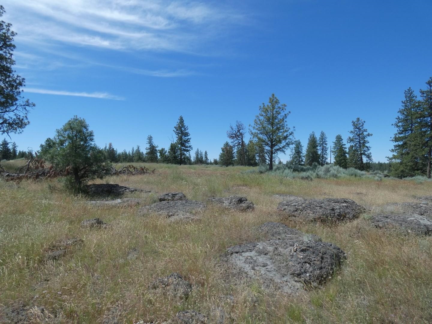 211-xx South Harrison Road Edwall, WA 99008 - Photo 12 of 19