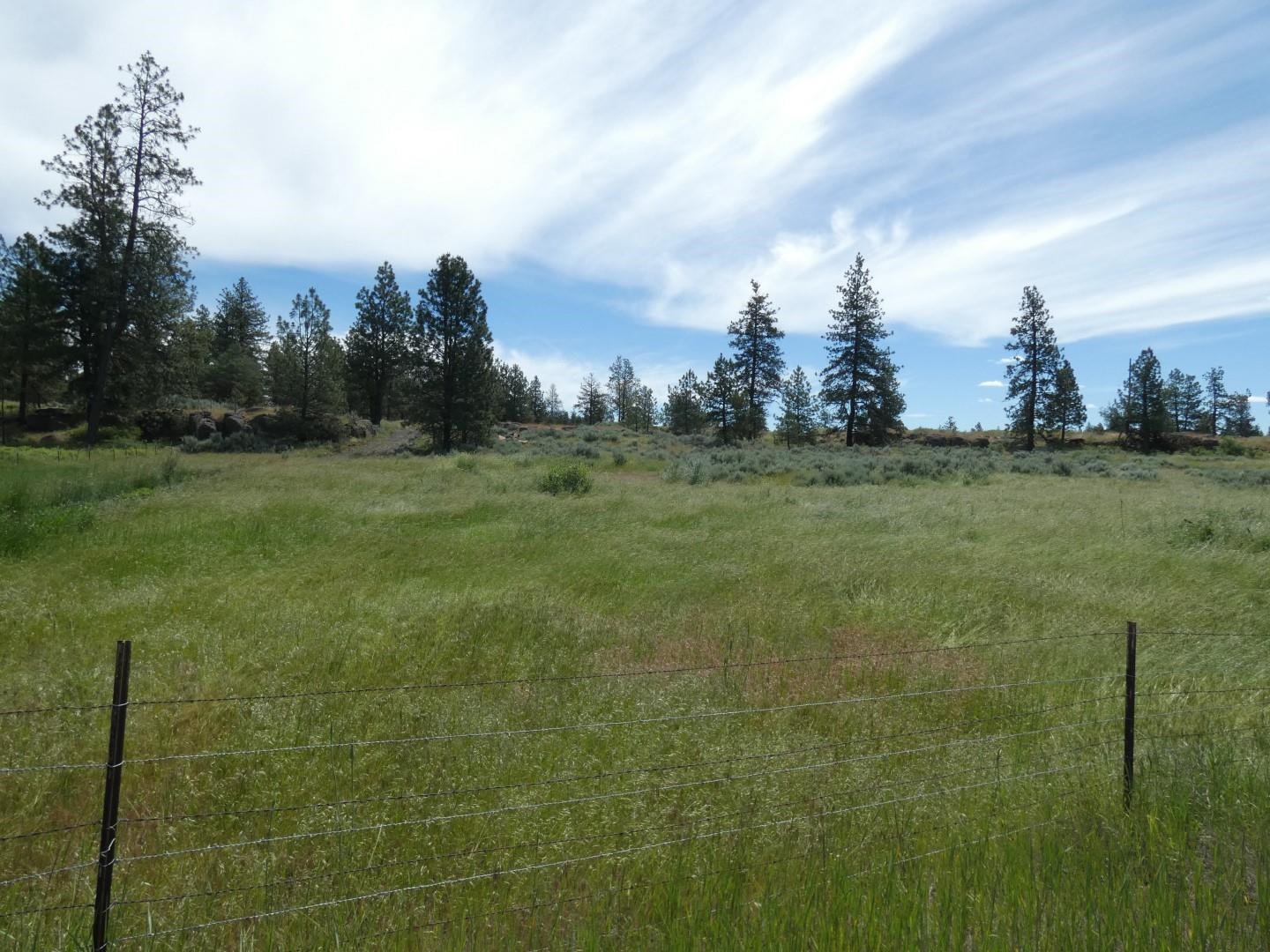 211-xx South Harrison Road Edwall, WA 99008 - Photo 15 of 19