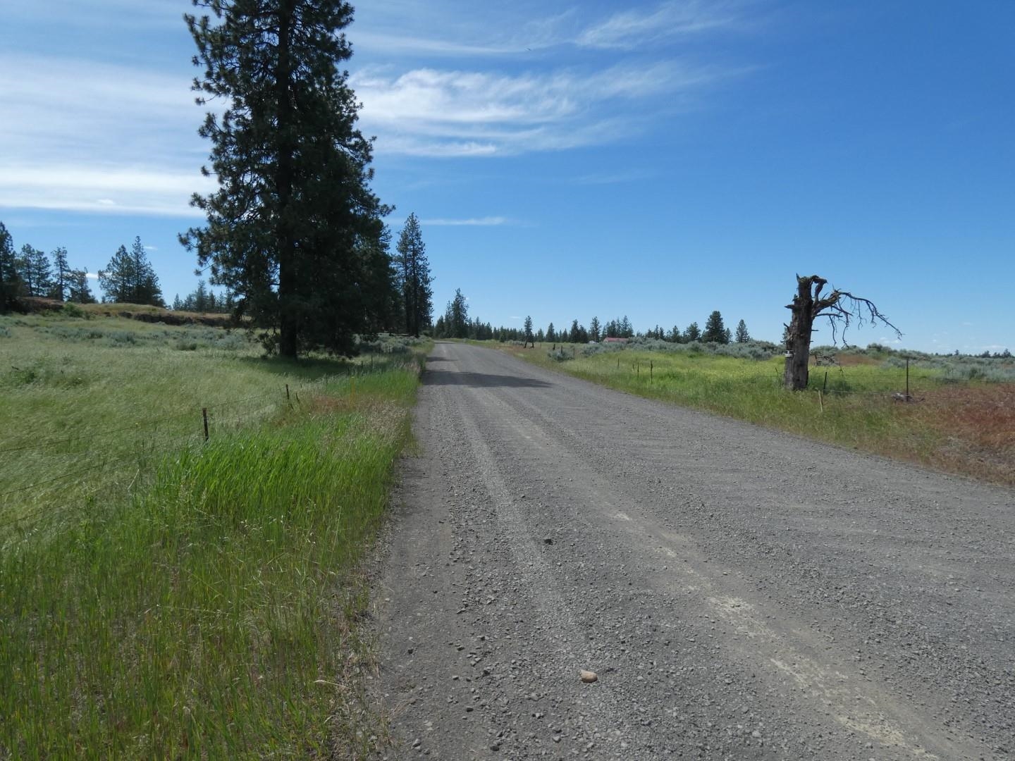 211-xx South Harrison Road Edwall, WA 99008 - Photo 16 of 19