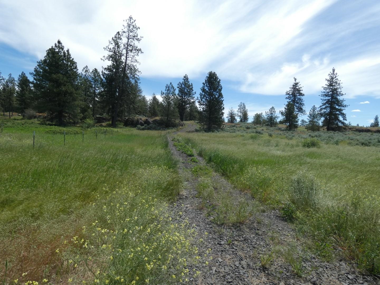 211-xx South Harrison Road Edwall, WA 99008 - Photo 17 of 19