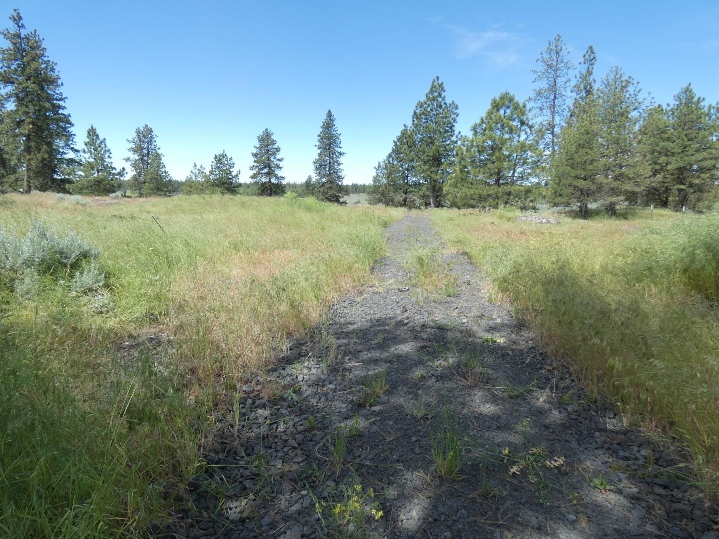 211-xx South Harrison Road Edwall, WA 99008 - Photo 2 of 19