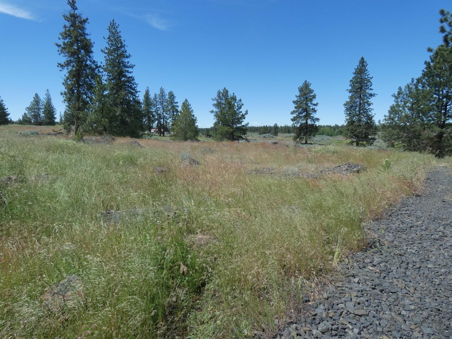 211-xx South Harrison Road Edwall, WA 99008 - Photo 5 of 19