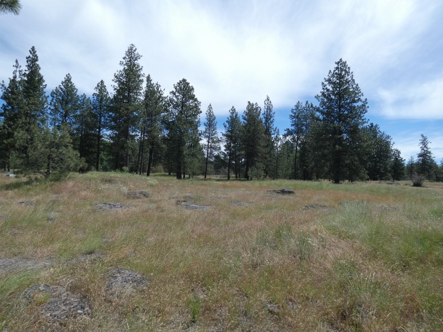211-xx South Harrison Road Edwall, WA 99008 - Photo 10 of 19