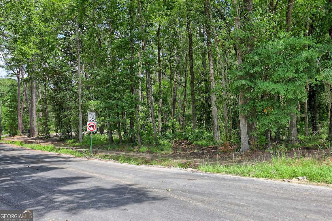 293 Anza Lane Rincon, GA 31326 - Photo 28 of 33