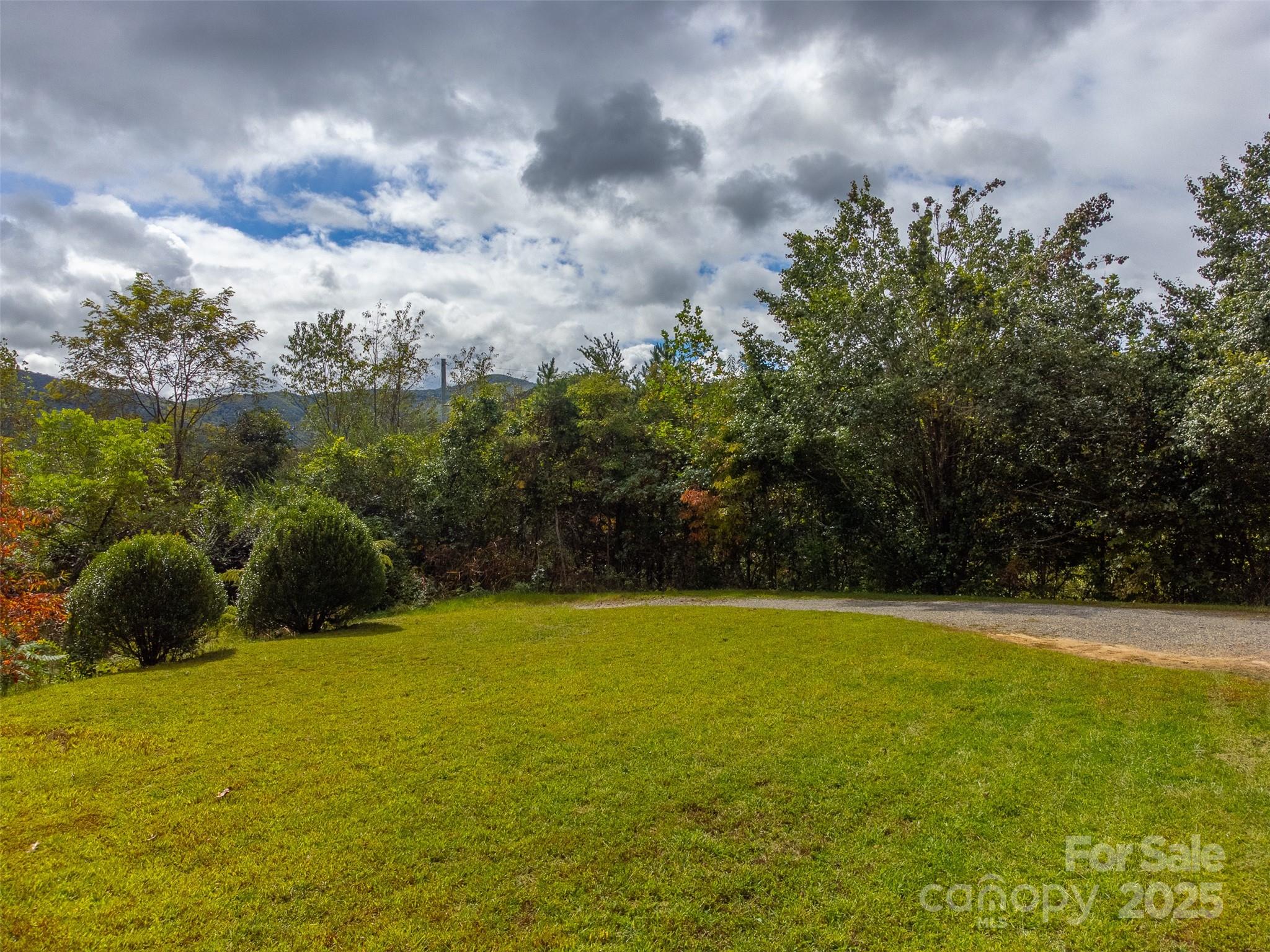 179 Fresh Water Rdg Road Whittier, NC 28789 - Photo 34 of 48 a view of a garden
