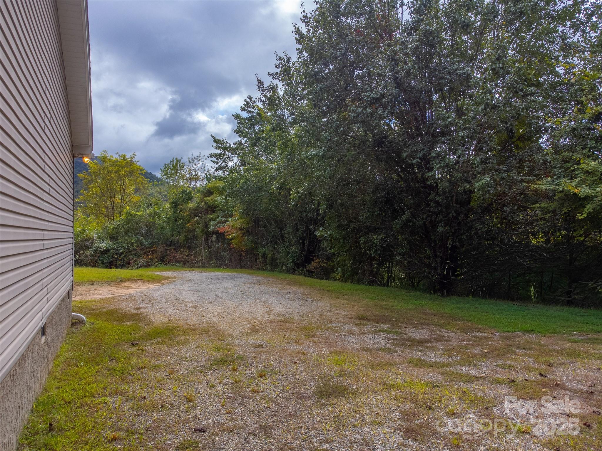 179 Fresh Water Rdg Road Whittier, NC 28789 - Photo 39 of 48 a view of a yard with an tree