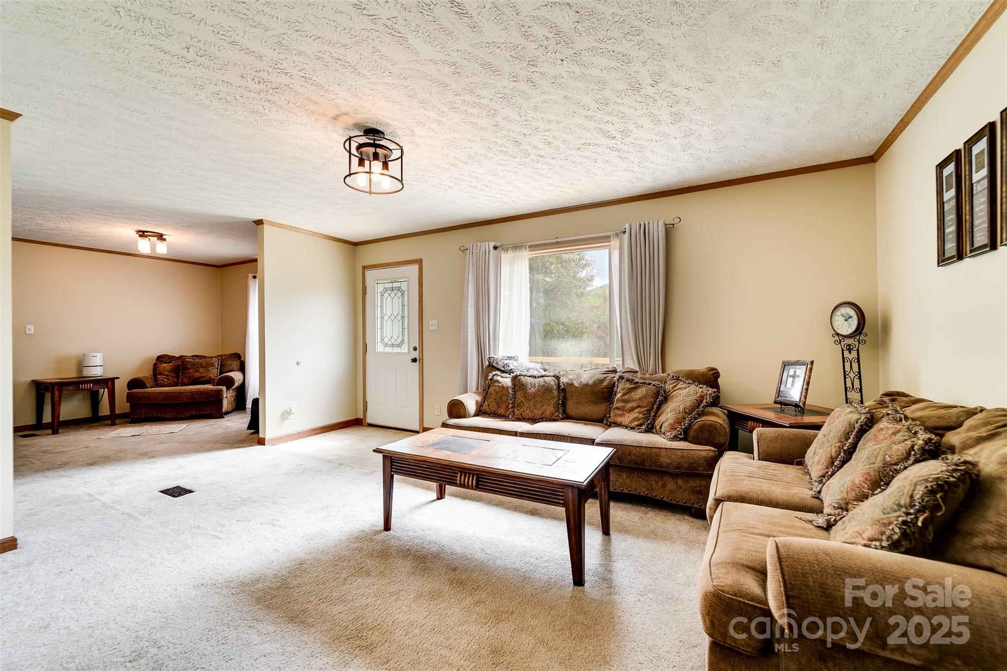 179 Fresh Water Rdg Road Whittier, NC 28789 - Photo 9 of 48 a living room with furniture and a rug