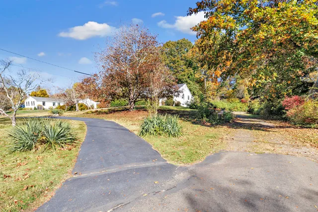 a view of yard with tree