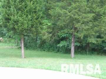 15862 Dwina Road Marion, IL 62959 - Photo 4 of 5 Gallery Image 4