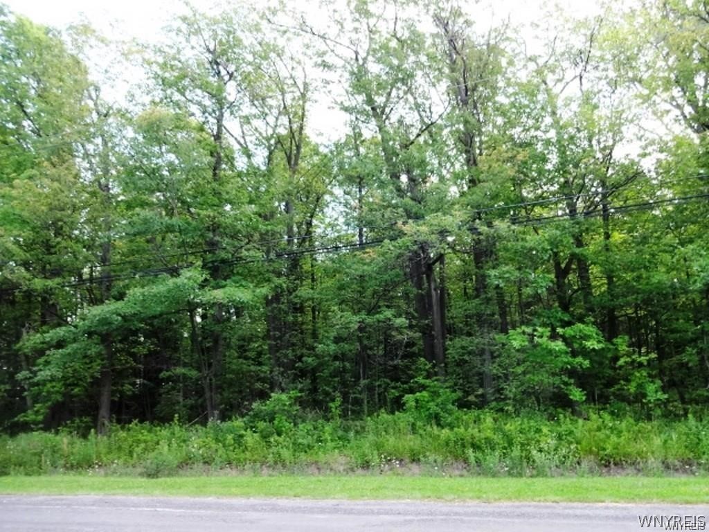 6735 Conner Road Clarence, NY 14051 - Photo 1 of 1