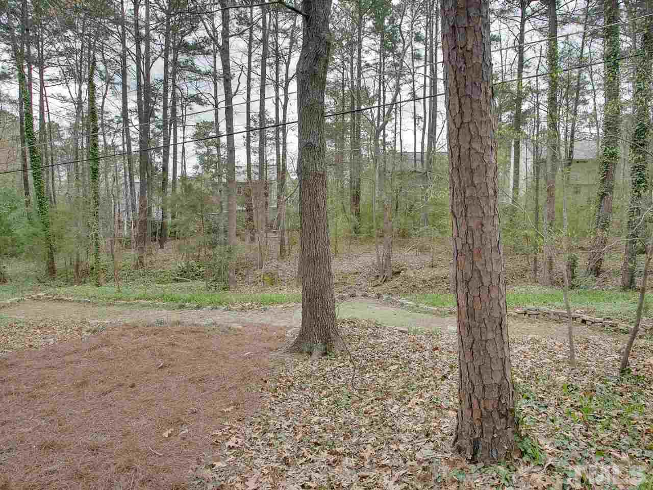 1909 Fountain Ridge Road Chapel Hill, NC 27517 - Photo 23 of 25 a view of a yard with a tree