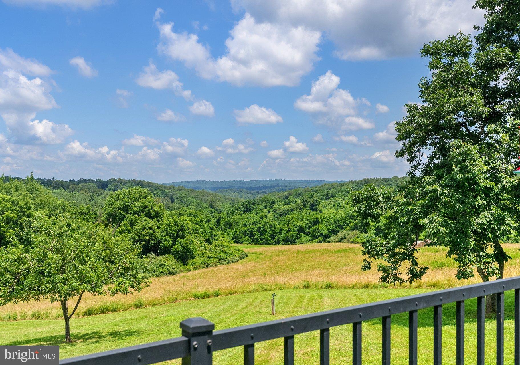 22077 Oatlands Road Aldie, VA 20105 - Photo 40 of 49 Views that are more impressive in person