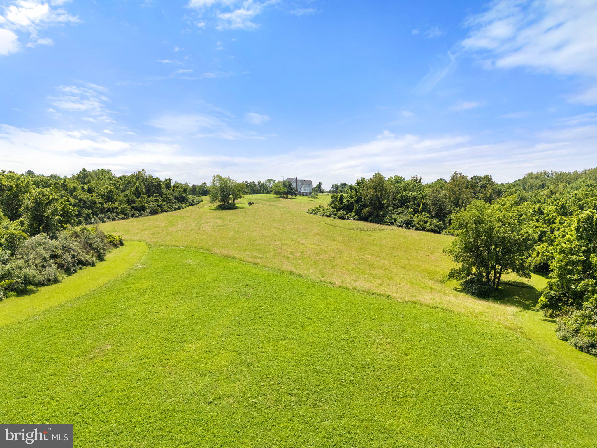 22077 Oatlands Road Aldie, VA 20105 - Photo 42 of 49 Room to roam