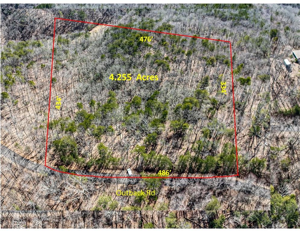 0 Outback Road Jasper, GA 30143 - Photo 3 of 9