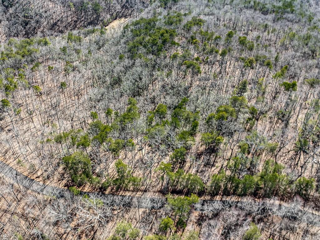 0 Outback Road Jasper, GA 30143 - Photo 6 of 9