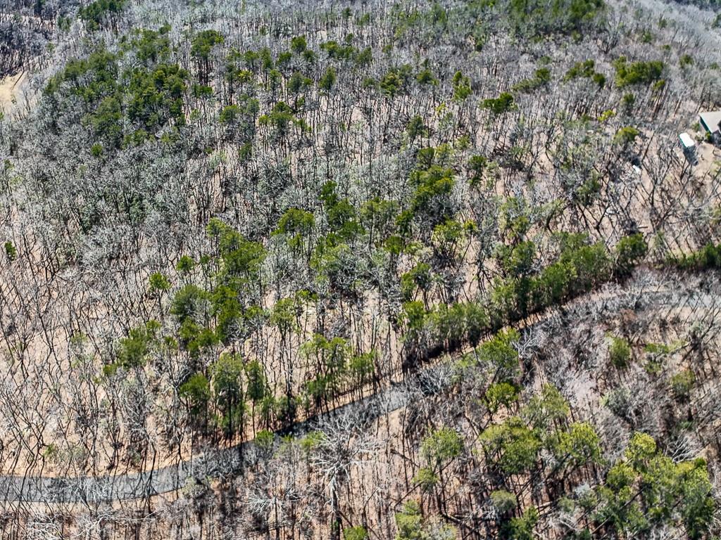 0 Outback Road Jasper, GA 30143 - Photo 8 of 9