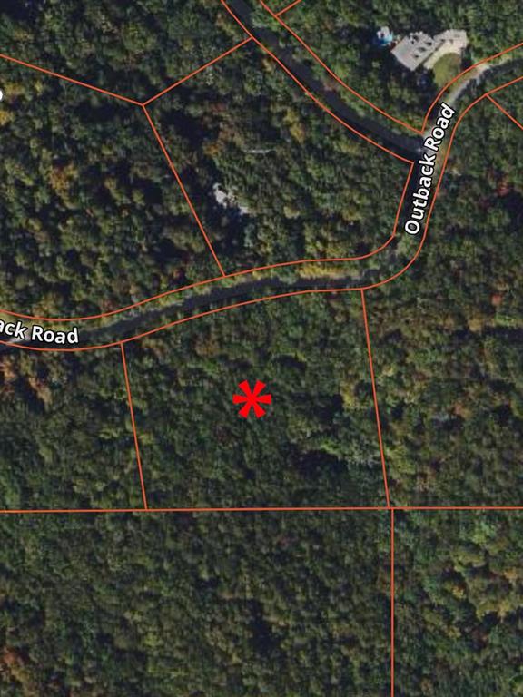 0 Outback Road Jasper, GA 30143 - Photo 9 of 9