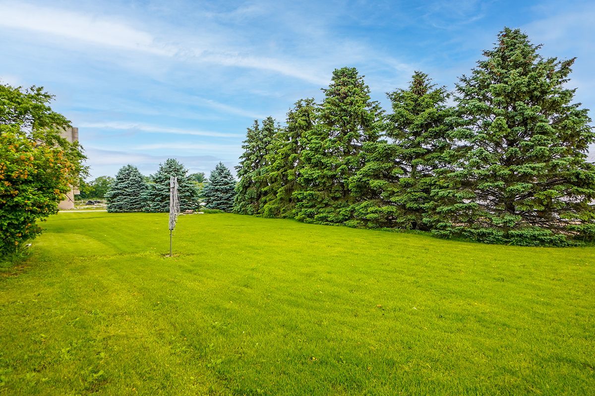 10057 Cherry Valley Road Genoa, IL 60135 - Photo 29 of 32 a view of a big yard with a large trees
