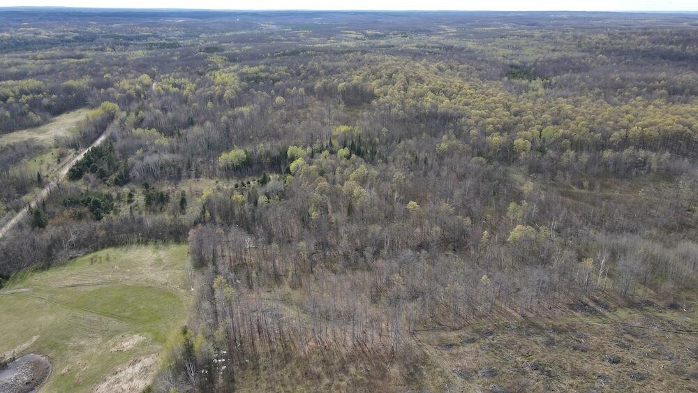 Vl Curtisville Road Mio, MI 48647 - Photo 9 of 141 6