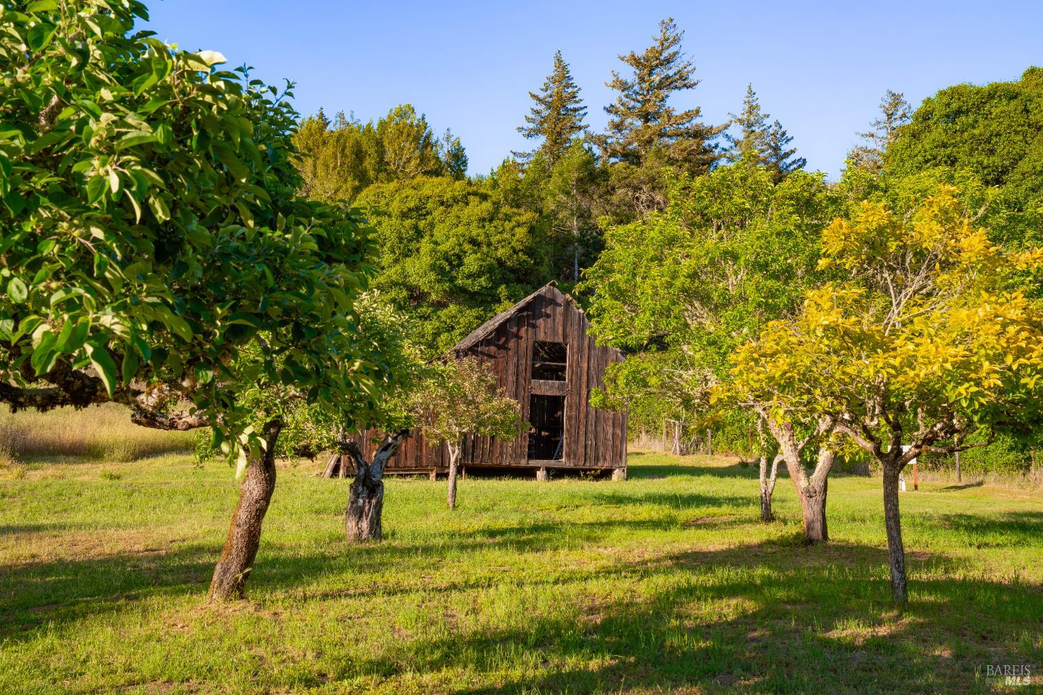 1801 Highway 128 Philo, CA 95466 - Photo 52 of 66