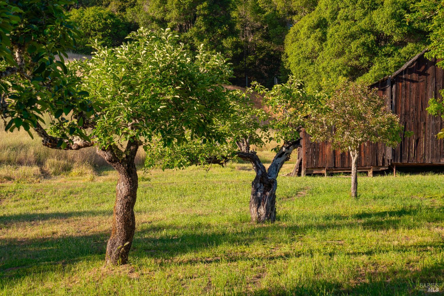 1801 Highway 128 Philo, CA 95466 - Photo 53 of 66