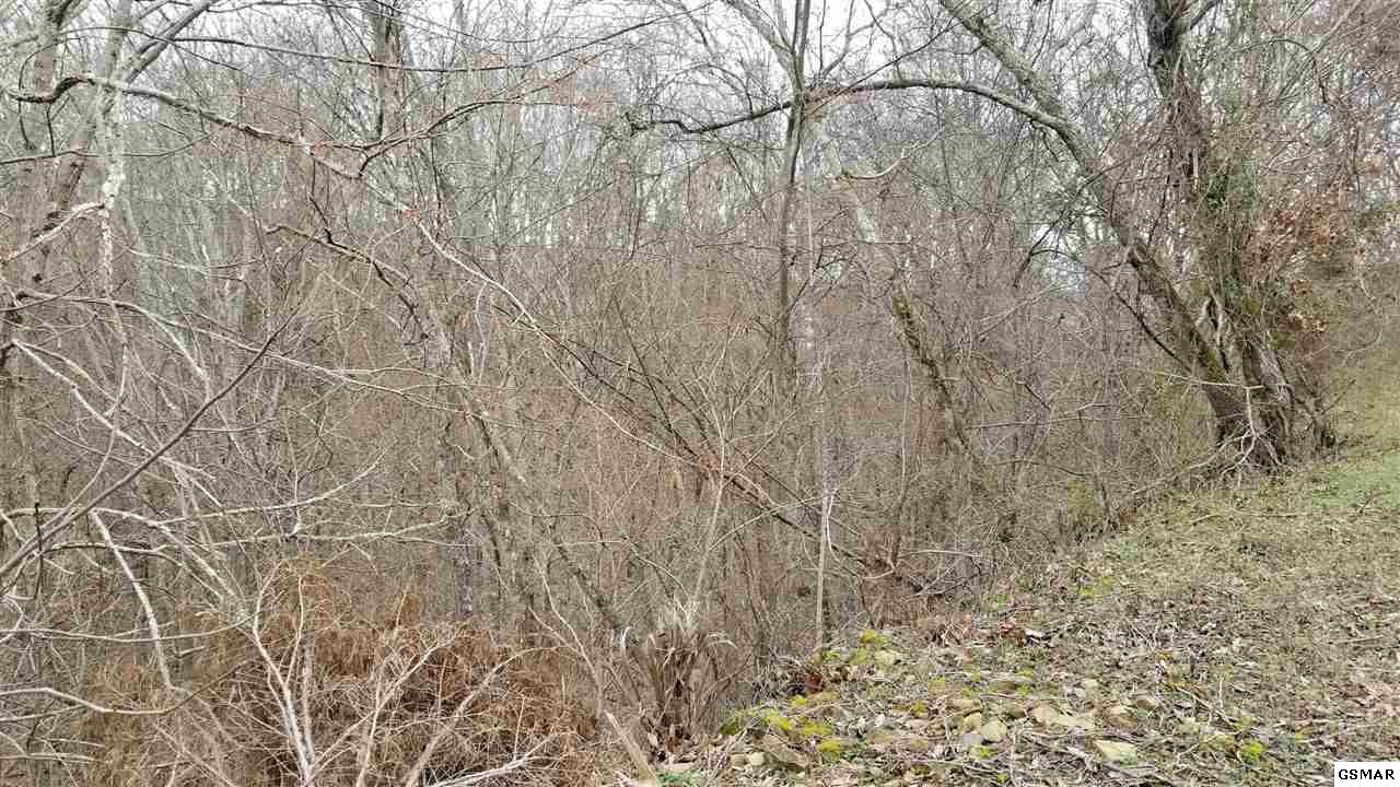 123 Last Chance Road Dandridge, TN 37725 - Photo 2 of 14