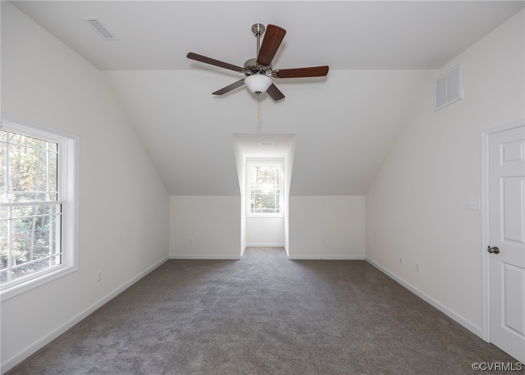 3038 Davis Mill Road Goochland, VA 23063 - Photo 36 of 49 Gallery Image 36