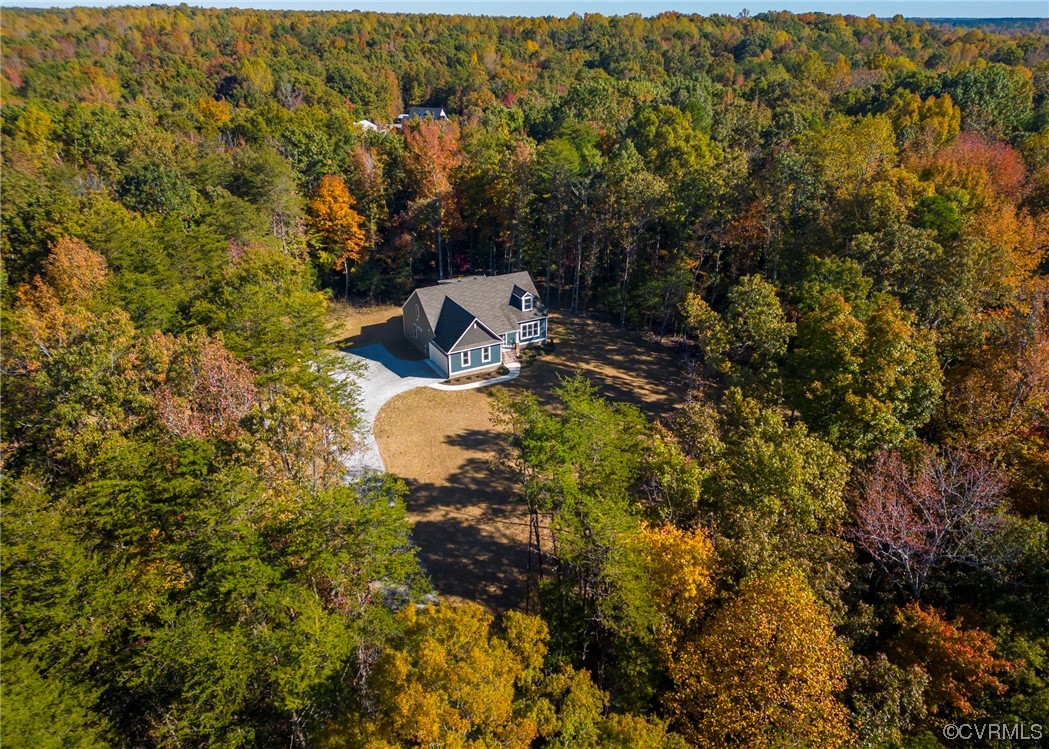 3038 Davis Mill Road Goochland, VA 23063 - Photo 45 of 49 Gallery Image 45