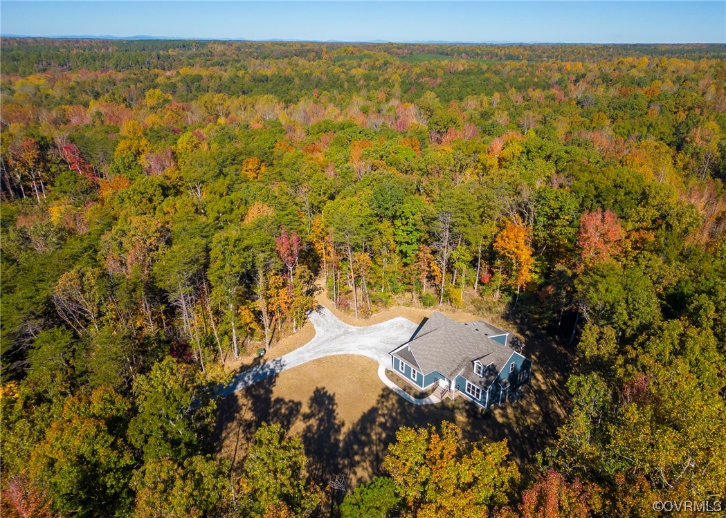 3038 Davis Mill Road Goochland, VA 23063 - Photo 47 of 49 Gallery Image 47