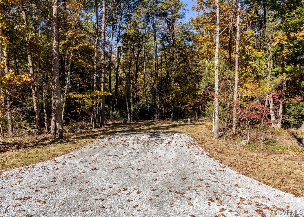 3038 Davis Mill Road Goochland, VA 23063 - Photo 6 of 49 Gallery Image 6